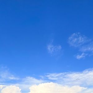 Bundle for @veridyan